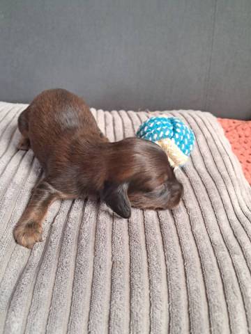 Athos