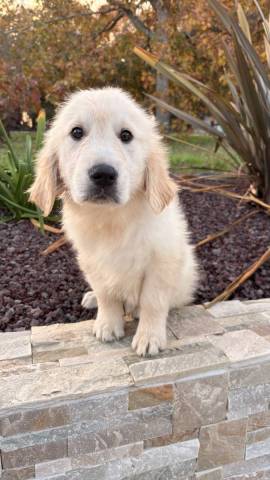 Baxter